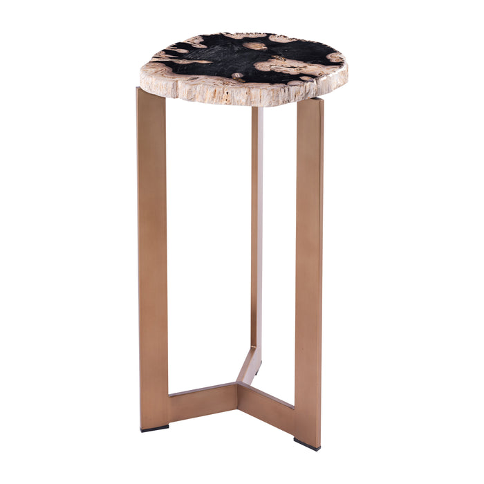 Petrified Wood 21" Accent Table - Multi