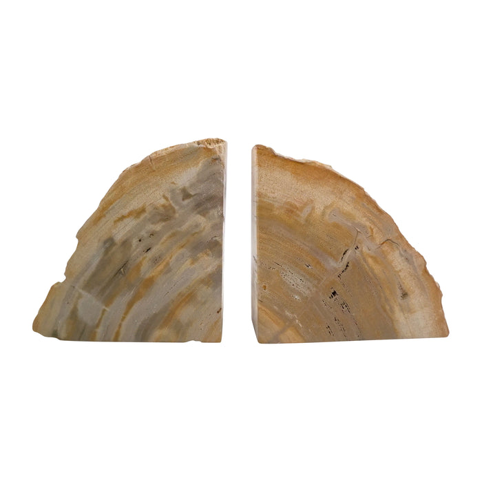 Petrified Wood 5" Natural Bookends (Set of 2) - Light Ivory